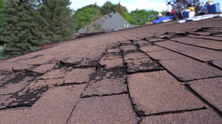 Emergency Roof Repair in Blawnox, PA